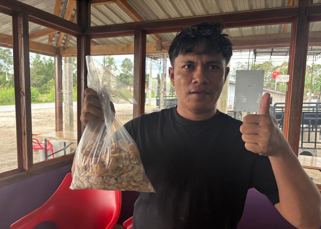 gallery pt mamusto green international 11