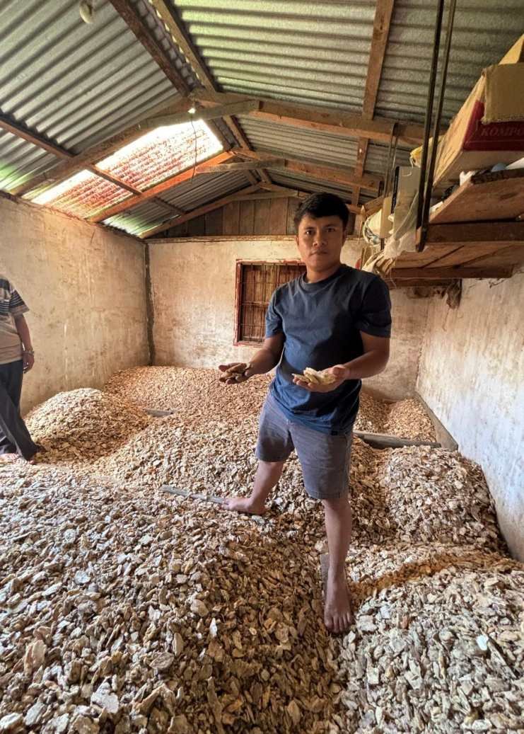 gallery pt mamusto green international 14