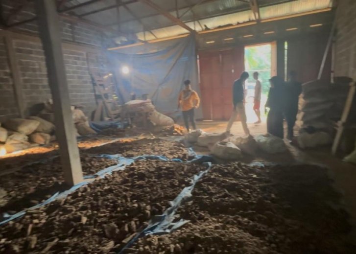 gallery pt mamusto green international 16