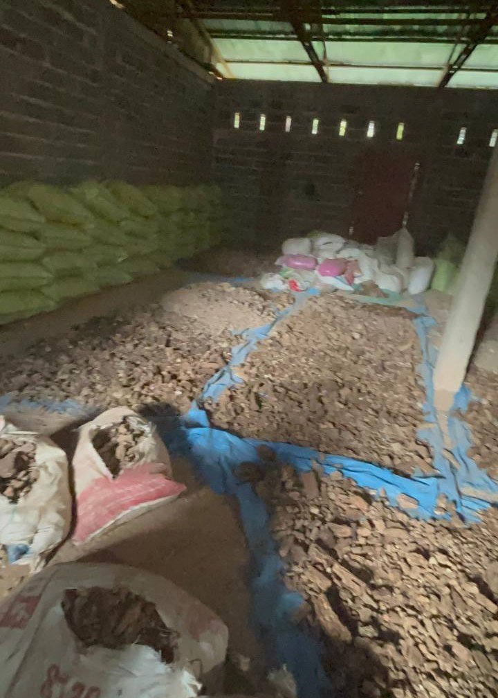 gallery pt mamusto green international 5