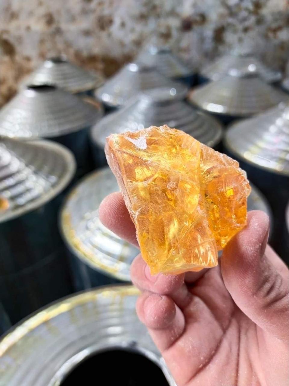 gallery pt mamusto green international 9